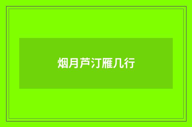 烟月芦汀雁几行