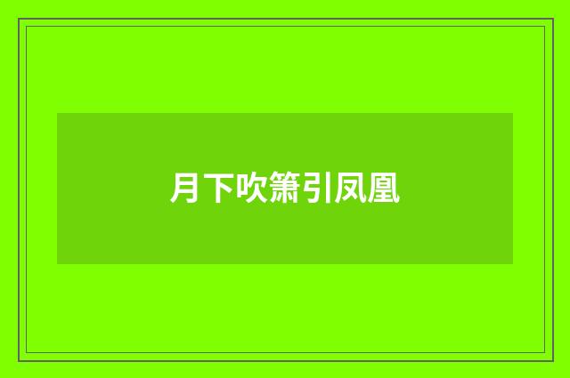 月下吹箫引凤凰