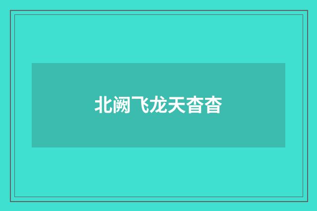 北阙飞龙天杳杳