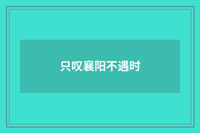只叹襄阳不遇时
