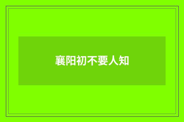 襄阳初不要人知