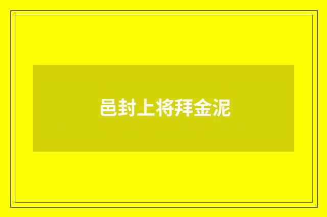 邑封上将拜金泥