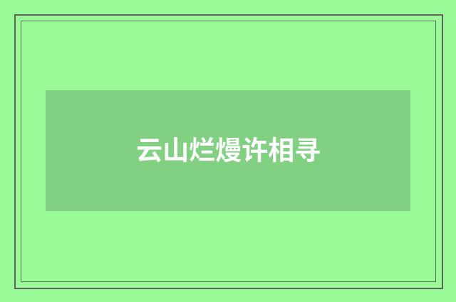 云山烂熳许相寻