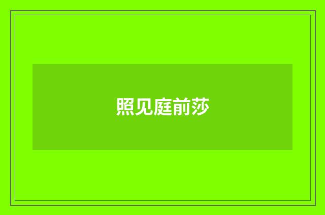 照见庭前莎