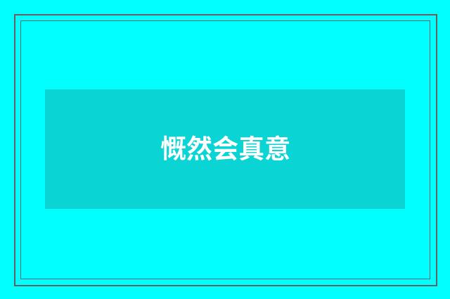 慨然会真意
