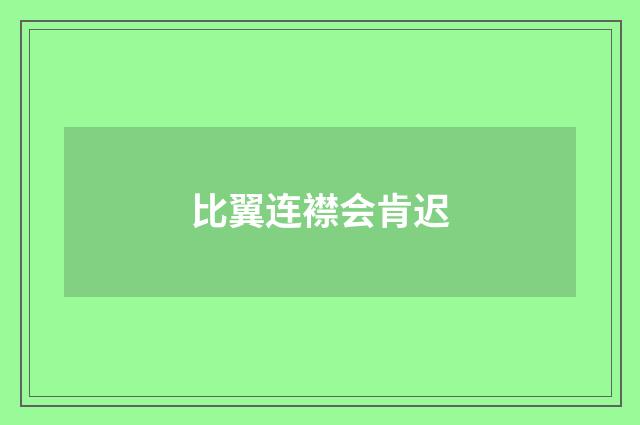 比翼连襟会肯迟