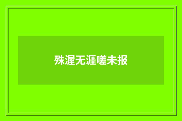 殊渥无涯嗟未报