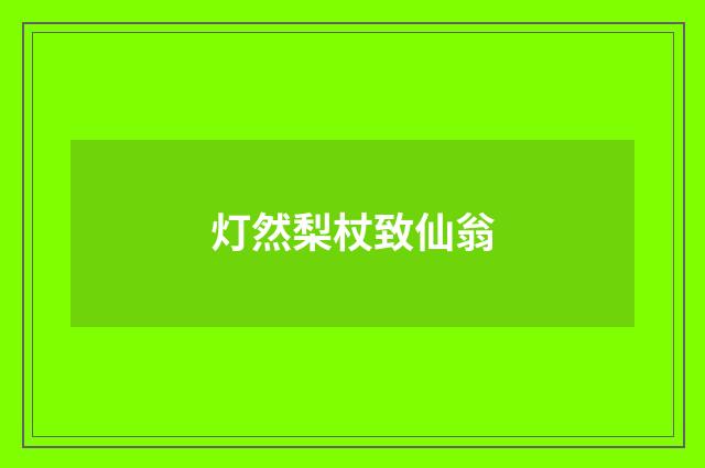 灯然梨杖致仙翁
