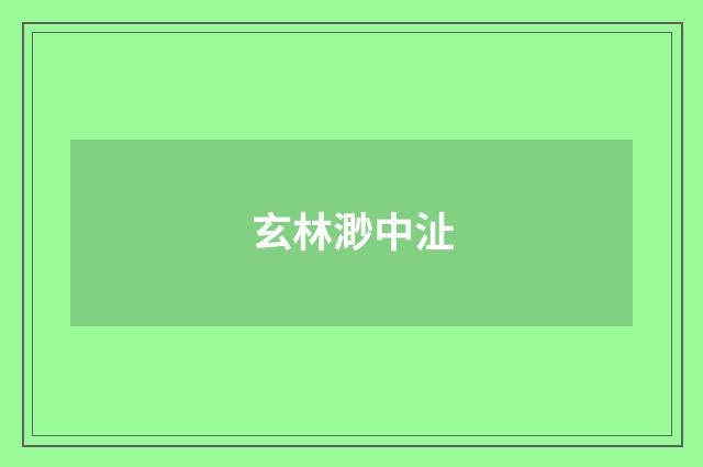 玄林渺中沚