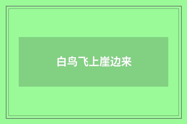 白鸟飞上崖边来