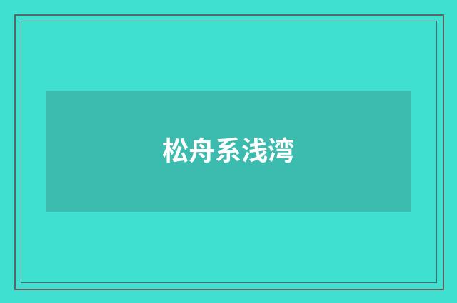 松舟系浅湾