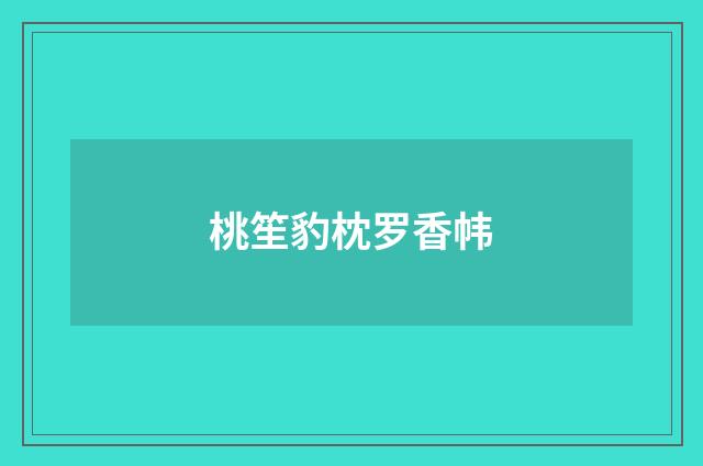 桃笙豹枕罗香帏