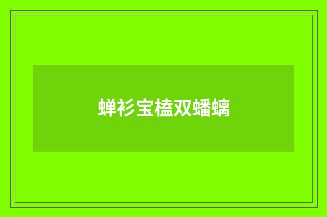 蝉衫宝榼双蟠螭