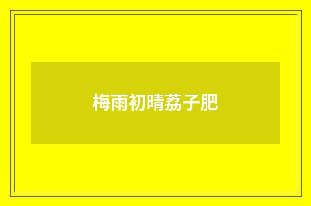 梅雨初晴荔子肥