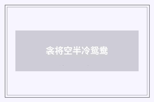 衾将空半冷鸳鸯