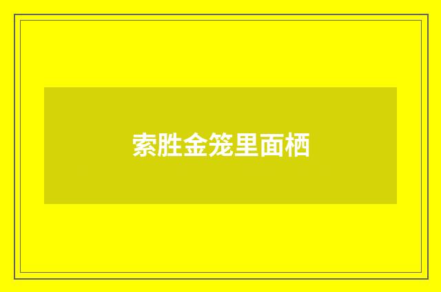 索胜金笼里面栖