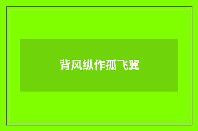 背风纵作孤飞翼