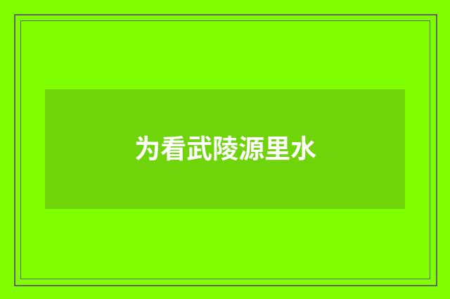 为看武陵源里水