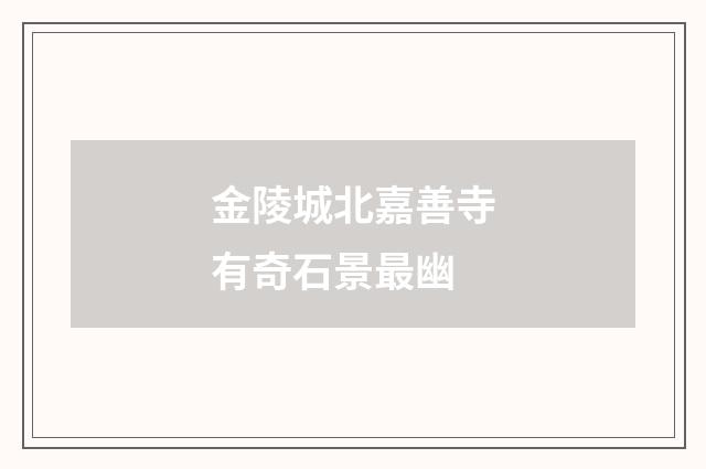 金陵城北嘉善寺有奇石景最幽