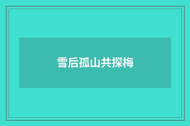 雪后孤山共探梅