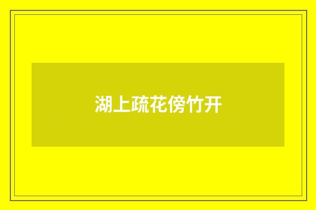 湖上疏花傍竹开