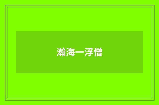 瀚海一浮僧