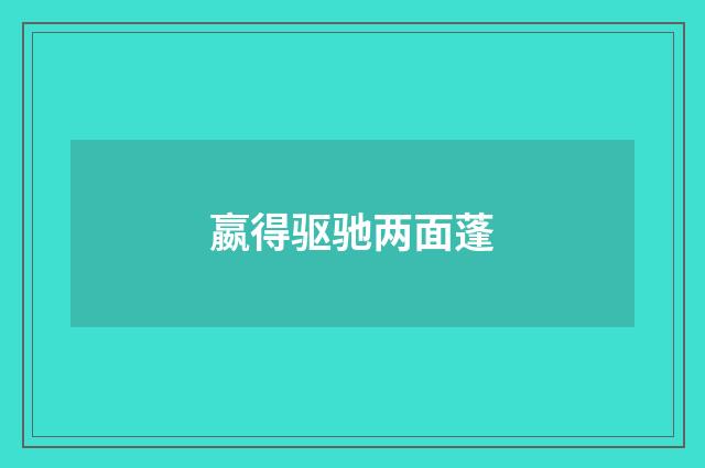 嬴得驱驰两面蓬