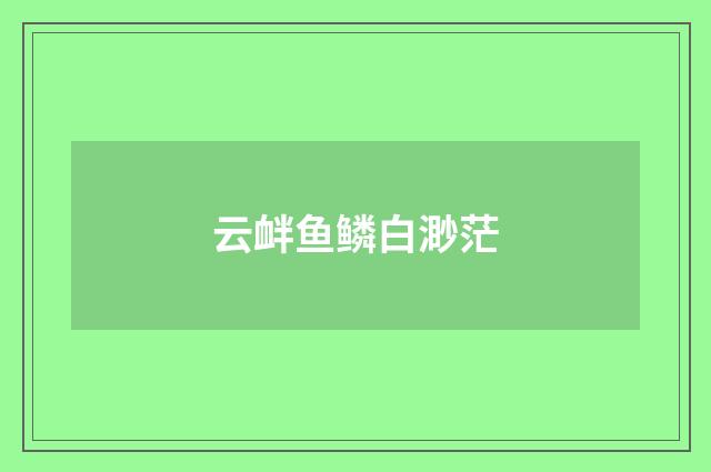 云衅鱼鳞白渺茫