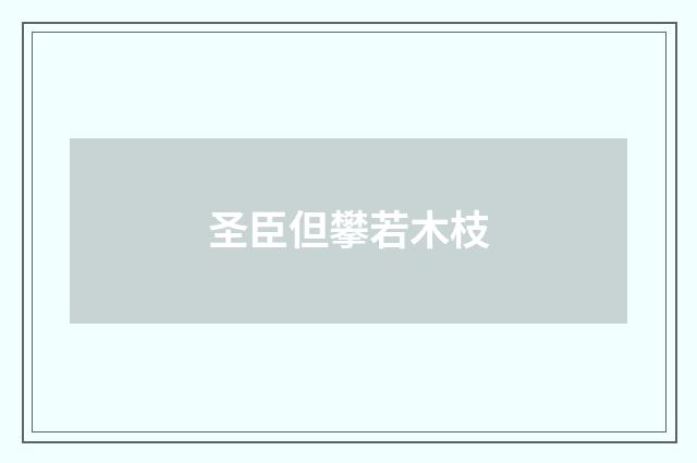 圣臣但攀若木枝