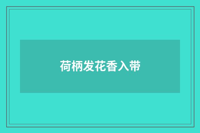 荷柄发花香入带