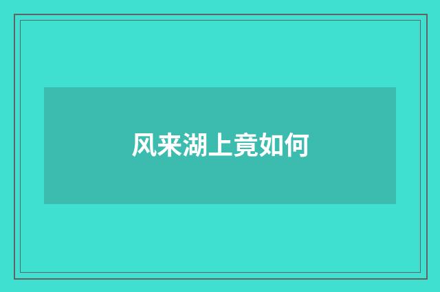 风来湖上竟如何