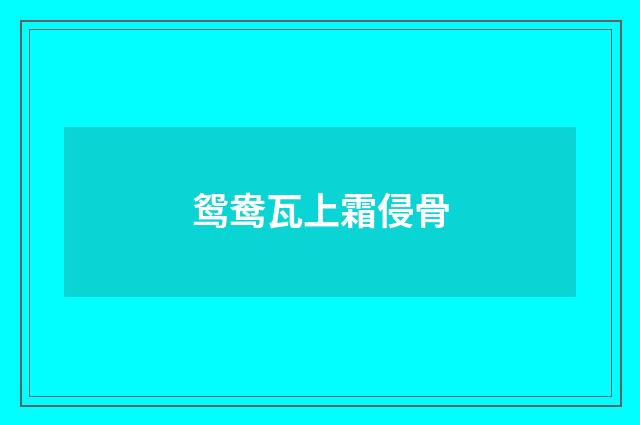 鸳鸯瓦上霜侵骨