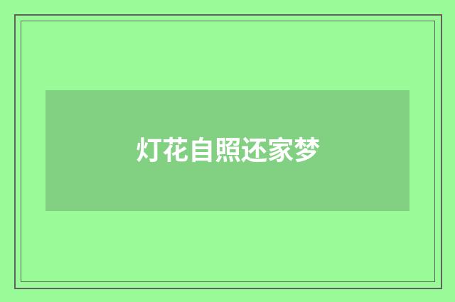 灯花自照还家梦