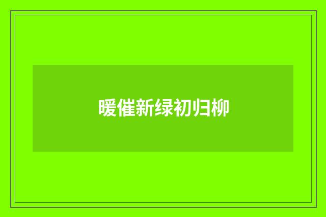 暖催新绿初归柳