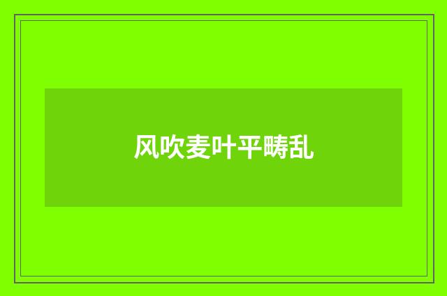 风吹麦叶平畴乱