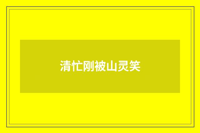 清忙刚被山灵笑