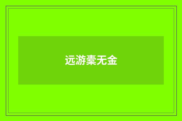 远游橐无金