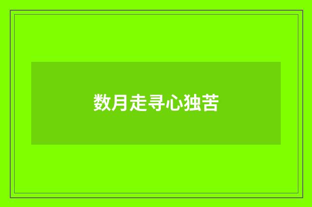 数月走寻心独苦