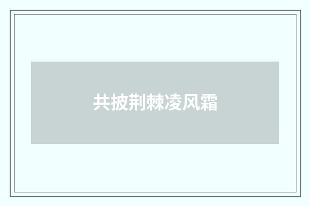 共披荆棘凌风霜