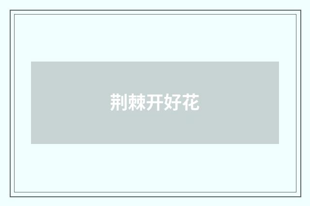 荆棘开好花