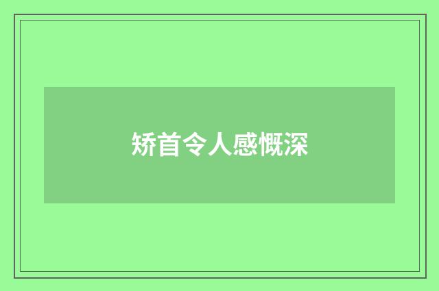 矫首令人感慨深
