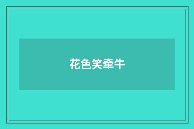 花色笑牵牛