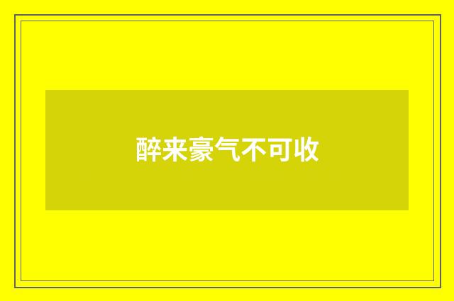 醉来豪气不可收