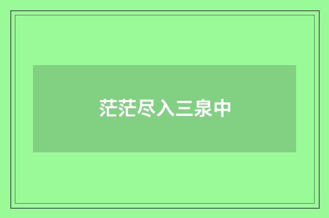 茫茫尽入三泉中