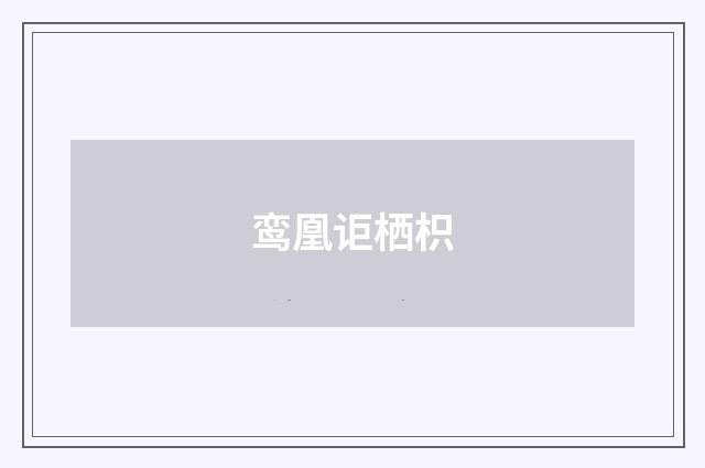鸾凰讵栖枳