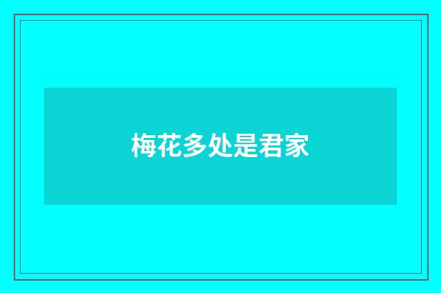 梅花多处是君家