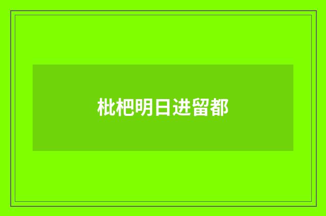 枇杷明日进留都