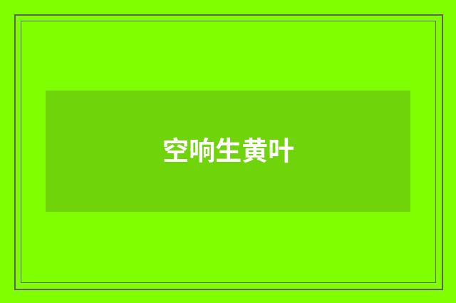 空响生黄叶