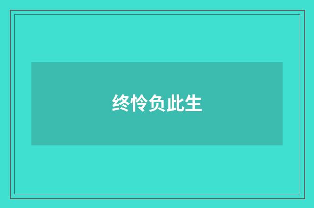终怜负此生