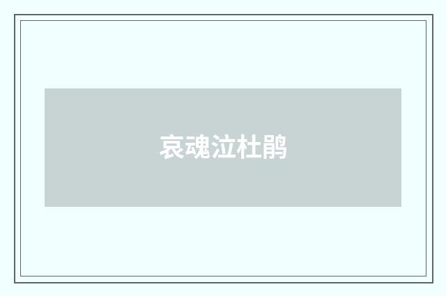 哀魂泣杜鹃